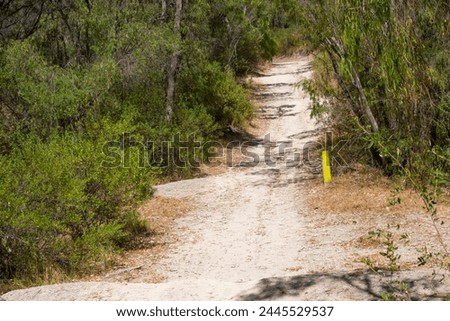 Sandy track leading off the Tuart Walk at Dalyellup, Western Australia,  with shady space for kangaroos and ringtail possums to hide amongst the native forest trees, and with abundant bird life.