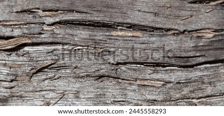 Textured old wood surface background