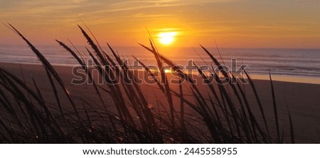 Pictures of diverse and beautiful panoramic views of sunset on the sea