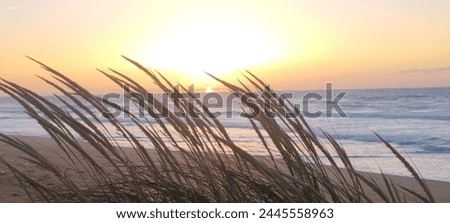 Pictures of diverse and beautiful panoramic views of sunset on the sea