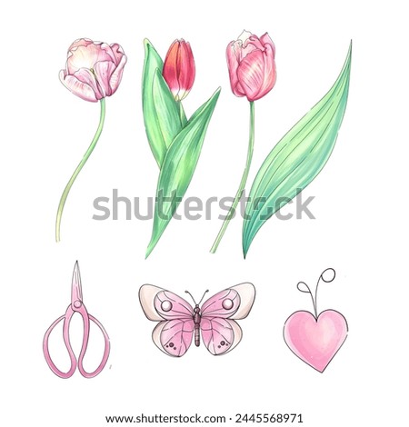 Watercolor tulips clip art. Romantic springtime flowers. Cartoon butterfly. Hand drawn illustration