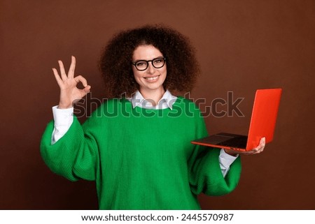 Portrait of attractive lady hold wireless netbook hand fingers demonstrate okey symbol isolated on brown color background