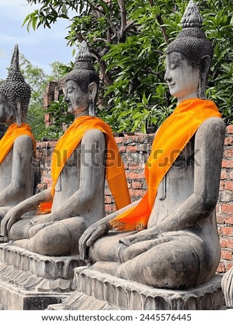 a photography of a row of buddha statues with orange robes.