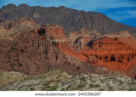 The spectacular sandstone hills and mountains of the Quebrada de las Conchas, or Quebrada de Cafayate, Salta Province, northwest Argentina. Royalty-Free Stock Photo #2445586287