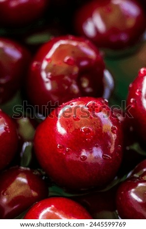 Apple Fruits fresh Apple Wallpaper pictures