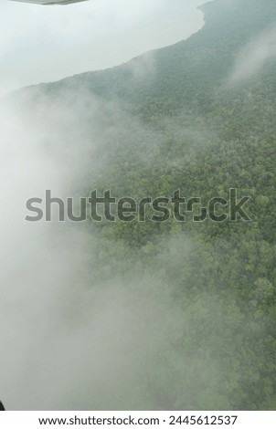 Cloudy ariel view of the jungle rain forest canopy in Toledo District, Southern Belize, Central America with tree tops in lush green taken from a light aircraft