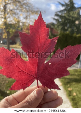 Canada life journey in pictures 