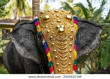 decorated elephant in Kerala festival