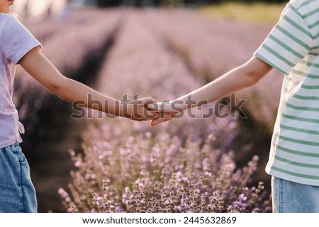 Friends hold hands closeup among lavender flowers in sunlight on summer day. Boy and girl walk in lavender field at sunset. Brother, sister have fun together. International Children's Day. Back view