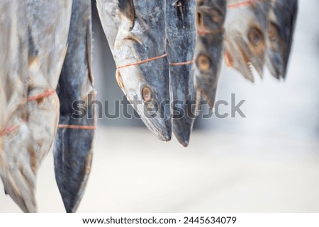 Pictures of fish, dried seafood