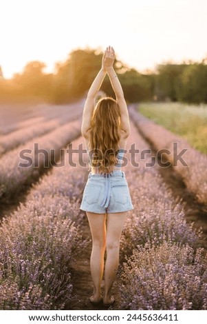 Brunette woman raised two hands up, enjoying sunset in lavender field. Attractive girl with long curly hair style in dreaming. Female walks among purple flowers with sunlight on summer day. Back view.
