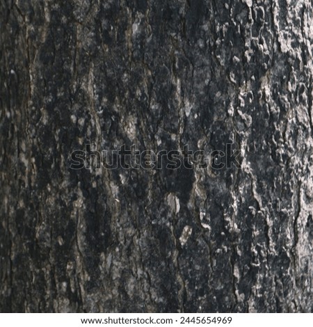 the texture of an old, brownish tree trunk Royalty-Free Stock Photo #2445654969