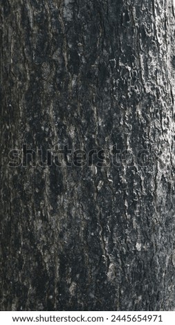 the texture of an old, brownish tree trunk Royalty-Free Stock Photo #2445654971