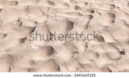 Beach sand close-up detail of wind art contours shapes in natures fine grain  art backgrounds from seasonal weather.