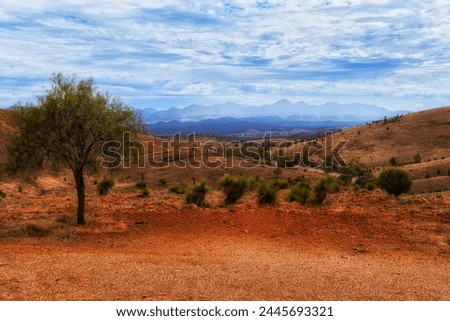 Red soil of Australian outback in Flinders ranges view to Wilpena Pound from Hucks lookout.