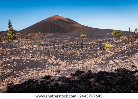 Picture taken in broad daylight by a sunny day along the hiking of "Sendero del Chinyero" in front of the "Chinyero Volcano", Santiago del Teide, Tenerife, Spain.