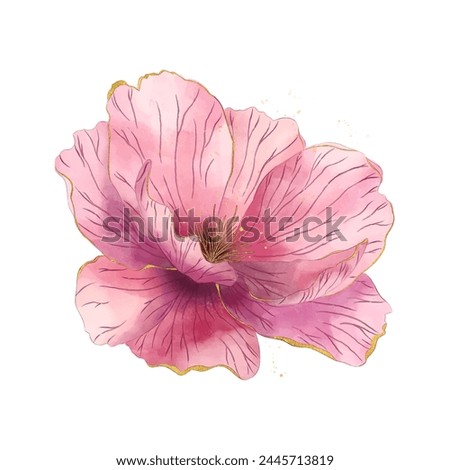 Vector pink flower isolated on white background. Blooming flower drawn in watercolour style