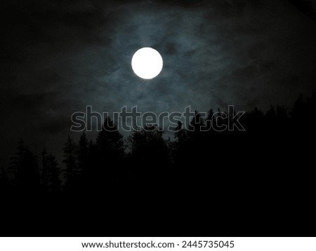 A photo of the Moon among the clouds against a forest, taken from the Earth with a professional camera 