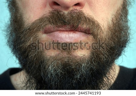 Men's beard. The guy's face is large. Brutal macho. Mustache and beard. Barber. Lumberjack. Portrait of a handsome man with a beard                                  Royalty-Free Stock Photo #2445741193