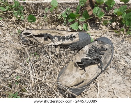 Old sneakers were thrown away in the forest.