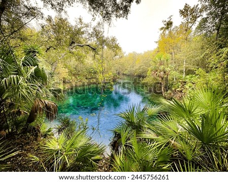 Blue Springs State Park in mid-November before closing for manatee season, Volusia County, Florida