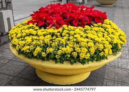 Big flower pot. Planter with Flowers and Plants. Big flower pot on city street. Patio outside decoration elements. Street decoration. Plants and flowerbed in the city in a summer. Street photo, nobody