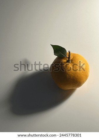 close up tangarine and her shadow  Royalty-Free Stock Photo #2445778301