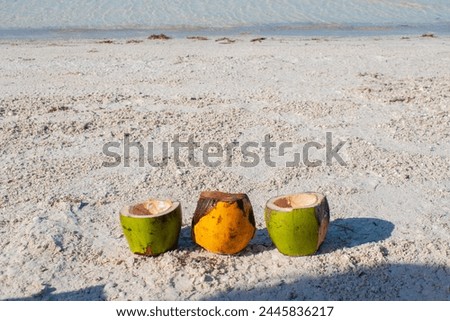 Coconuts on beach. Coconut sell