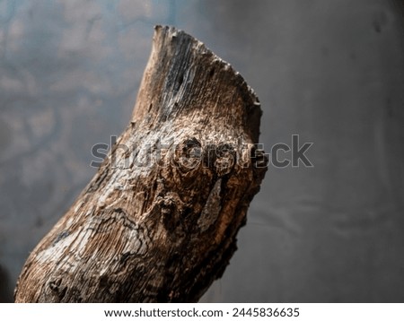 a wood with grey background 