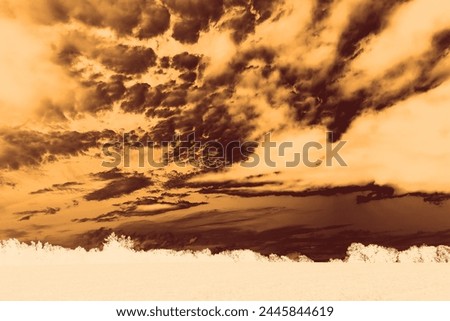 Beautiful landscape, dramatic heaven with clouds and field with trees, mystical atmosphere, cold weather, natural background, orange color, invert photo