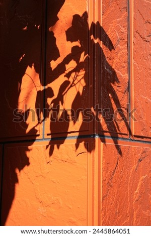 Abstract daytime shadows from outdoors Royalty-Free Stock Photo #2445864051
