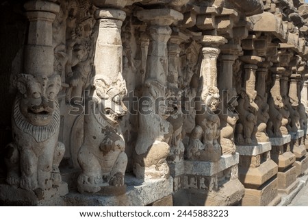 The pillars of the Kailasanathar Temple also referred to as the Kailasanatha temple, Kanchipuram, Tamil Nadu, India. It is a Pallava era historic Hindu temple.  Royalty-Free Stock Photo #2445883223