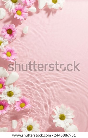 Spring's serene palette: tranquil flowers afloat. Top view vertical shot of white and pink chrysanthemums and white stones on gentle aqua water pink background with space for promo or personal message