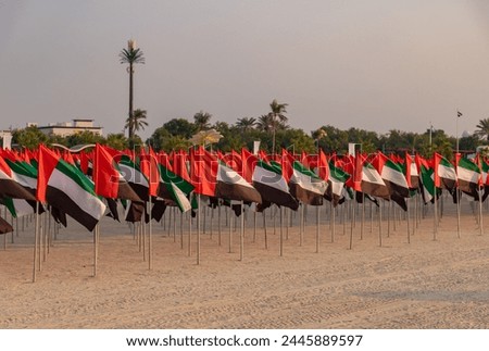 A picture of many United Arab Emirates flags at the Jumeirah Public Beach.