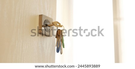 Bunch of different metal keys in lock of new entrance door of house or office, on the outside, safety, open door, security, privacy. Concept of real estate or renting home with sunlight, copy space. Royalty-Free Stock Photo #2445893889