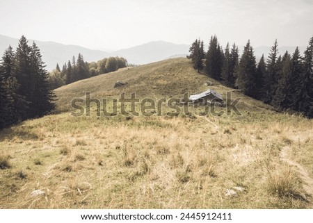 Abandoned sheepfold on the way to Ciucas peak in Carpathian Mountains, Romania. Royalty-Free Stock Photo #2445912411