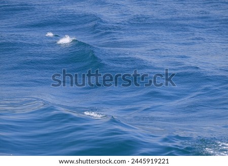 a soft surface background of turquoise sea waves  