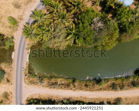beautiful drone shot aerial view top angle  agricultural plough green field rice cultivation lake pond river irrigation fertile ruralscape village countryside farm india tamilnadu wallpaper coconut 