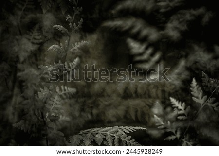 Fractured picture of fern plants in the wooded forest, modern photo