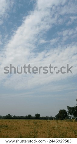 A photo of a field covered with a beautiful view of natural entities shares freshness and beauty in the atmosphere and a lively experience of the great nature with clouds and trees and making it beaut