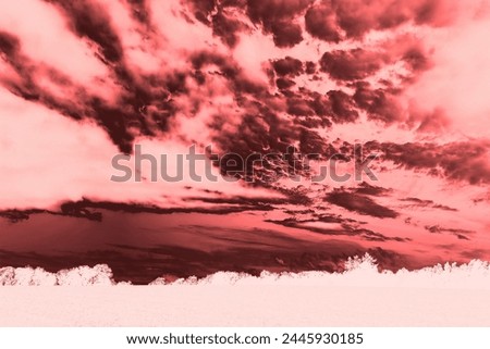 Beautiful landscape, dramatic heaven with clouds and field with trees, mystical atmosphere, cold weather, natural background, red color, invert photo