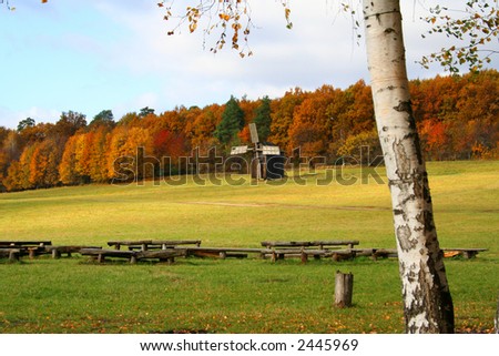 Windmills on the meadow, autumn vivid landscape