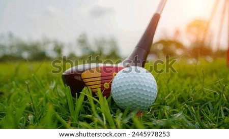 Golf ball and golf club in a beautiful golf course in Thailand. Collection of golf equipment resting on green grass with green background                                                  
