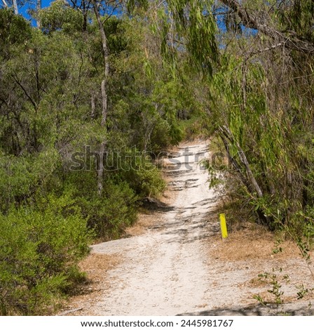 Sandy track leading off the Tuart Walk at Dalyellup, Western Australia,  with shady space for kangaroos and ringtail possums to hide amongst the native forest trees, and with abundant bird life.