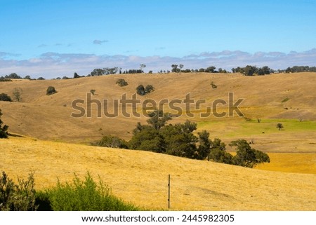 The scenic picturesque rural and farming area pictured in autumn in Ferguson Valley near Dardanup South Western Australia is a tourists' paradise with hills and valleys, wineries and accommodation .