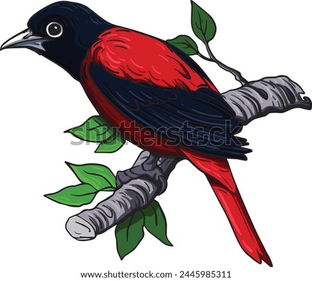 bird colorful and classical design