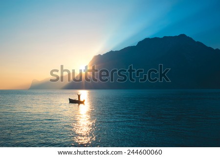 Blissed Man exulted under amazing view Royalty-Free Stock Photo #244600060