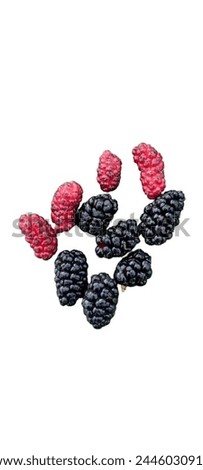 Black and red Mulberry shahtoot fruit isolated on White background. Royalty-Free Stock Photo #2446030913