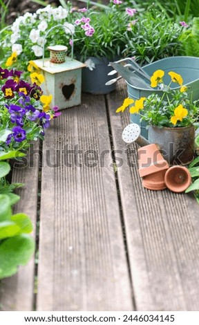 pretty colorful flowers blooming  and arranged on paart of wooden terrace with decorative flower pots and lantern 