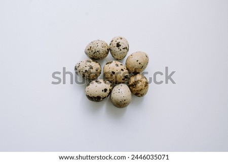 Quail eggs that are the size of an adult human's thumb are lined up on a white mat for photographic and detailed purposes.